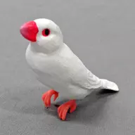 White Buncho "Sparrow and Buncho Collection : Suzy Haze Ver"