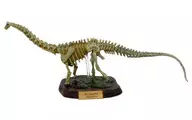 Diplodocus (Natural Color) "Capsule Q Museum : Dinosaur Excavation and Dinosaur Skeleton Exhibition Room"