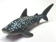 Rhincodon typus B "Marine Biology Large Set Mini Figure Collection"