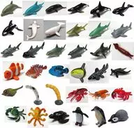 全36種セット 「海洋生物大集合ミニフィギュアコレクション」