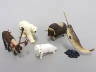 Set of 5 Kinds 「 Capsule Q Museum WILD RUSH True World Animal Magazine III ~ Polar and Arctic ~ 」