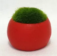 Musgo + Taça (Vermelhão) "Round Round Collection Bonsai - Bonsai -02"