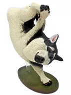 Husky siberiano "ANIMAL LIFE Dancing Dog"