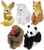 5-Type Set "Machiboke"