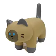 尖頭貓