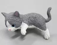 Hachireme Neko (Gray) : "Funiyasumi ~ Nyanko ~"