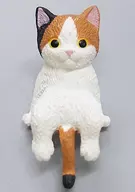 Mikeneko 「 Fuchiyasumi - Nyanko - 」