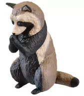 Tanuki' Gasshorokuhai'