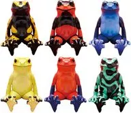 6-Type Set "Sitting Frog poison dart frog"