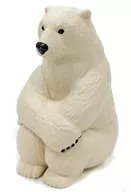 1) Polar bear "Machiboke 4"