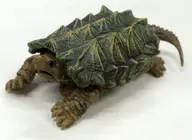 Alligator snapping turtle (black) "Ikimono Daizukan Kame 03"