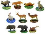 Conjunto de 10 tipos "Nature Technicolor MICRO Satoyama no Ikimono"