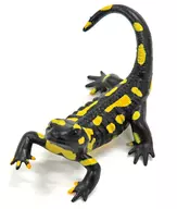 Fire salamander (yellow) "Capsule Q Museum Toxic and Dangerous Animals Taizen Vol. 2"