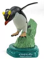 イワトビペンギン 「水族館フィギュアコレクション 日本の水族館(2019)」 水族館限定