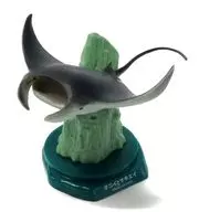 Giant oceanic manta ray "Aquarium Figure Collection : Japanese Aquarium (2019)" Aquarium only