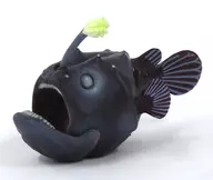 蝴蝶安康魚