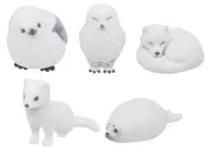 全5種セット 「しろふわあにまる」