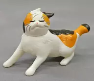 "Fighting Fight Against Wind"