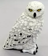 Hedwig (Owl) : "Magic World Magic Biology Collection Special"