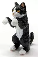 Hachire' Burrin Nyanko'