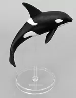 Orcas (Real Color) "Real Figure and Leaf, the Illustrated Book of the Most Potential Kings in the