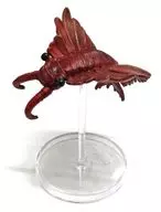 Anomalocaris (Real Color) "Real Figure and Leaf Illustration of the World's Strongest in the Water"