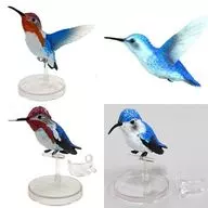 Conjunto de 4 tipos : "1/1 Colibrí"