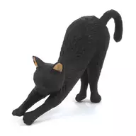 Yokonobi "Fuchi Neko No. 1" Distribución de la campaña para conmemorar el 50 aniversario de Shanoar