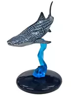 Rhincodon typus "Nature Technicolor 400 Shark"