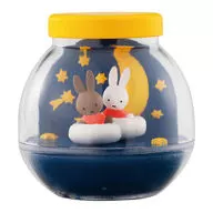 "Capce Miffy" in the night sky with Miffy and friends