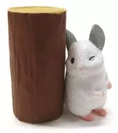 "Chinchillathyrhythm"