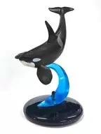 Killer whale "Nature Technicolor 400 Whales and Dolphins"