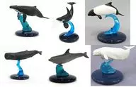 Conjunto de 6 tipos "Nature Technicolor 400 Whale and Dolphin"