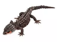Lates japonicus beetle lizard (dark brown) "Ikimono Daizukan Advanced Lates japonicus beetle lizard and モトイカブトトカゲ"