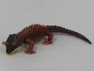 モトイカブトトカゲ(浅棕色)"生物大图鉴Advance布托蜥蜴和モトイカブトトカゲ"