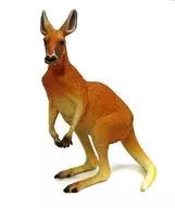 Red kangaroo "Nature Technicolor 400 Australia"