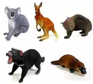 Conjunto de 5 tipos "Nature Technicolor 400 Austrália"