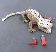 クレステッドゲッコー(ダルメシアン) 「いきもの大図鑑アドバンス クレステッドゲッコー」