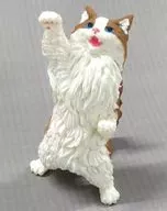 Norwegian Forest Cat "NYAoooo!"