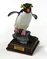 Rockhopper penguin "Nature Technicolor Antarctic Special Edition"