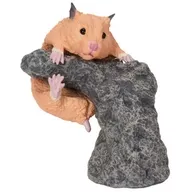 ゴールデンハムスター(キンクマ) 「いきもの大図鑑 指まきコレクション 小動物」