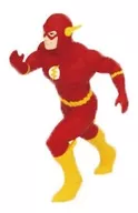 THE FLASH B TYPE 