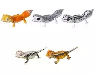 Conjunto de 5 tipos "Ikimono Taizokan Repty BEST レオパ and Cress"