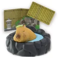 Capivara "Estou a tomar banho, a minha viagem para a água quente"