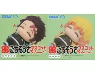 共2種SET