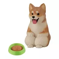 赤柴