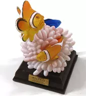 Ocellaris clownfish "Nature Technicolor Ocean I Special Edition"