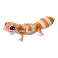 ニシアフリカトカゲモドキ(アメルアルビノ) 「いきもの大図鑑レプティ アオジタトカゲとニシアフリカトカゲモドキ」