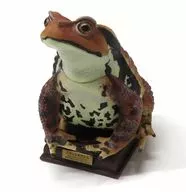 Japanese Toad "Nature Technicolor Special Edition for Japanese Toad"