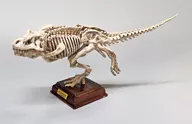 ティラノサウルス(骨格標本色) 「ネイチャーテクニカラー 古生物」